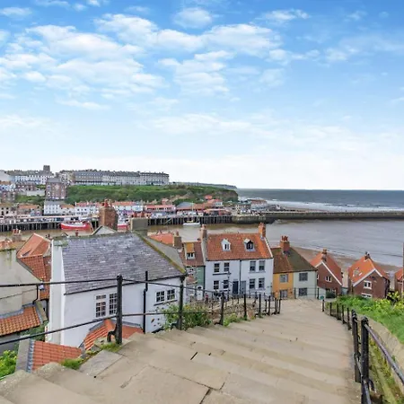 Kittiwake * Уитби